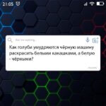 Как голуби умудряются
