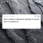 Как в шкафу появляется одежда