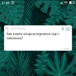 когда испортился сыр