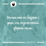 Ничто так не бодрит