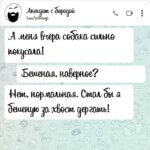 Собака покусала