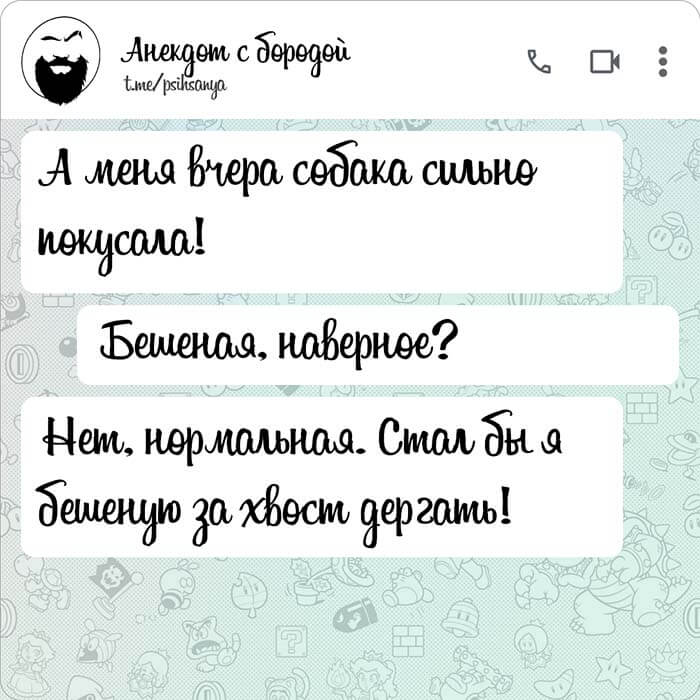 Собака покусала