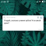 Угадай сколько у меня зубов
