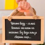 Цените воду - самый важный элемент на планете