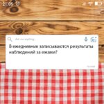 В ежедневник записываются результаты наблюдений за ежами
