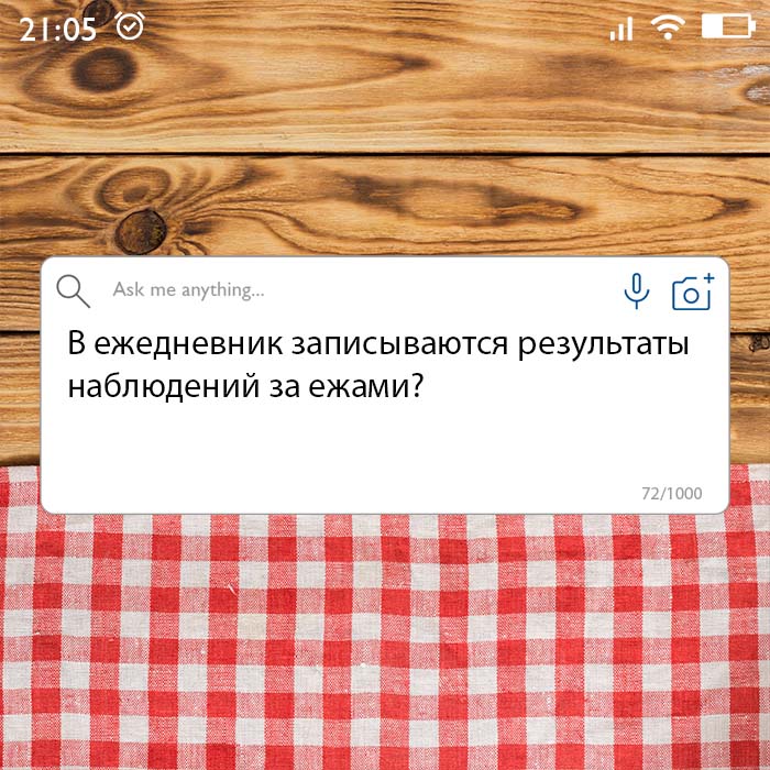 В ежедневник записываются результаты наблюдений за ежами