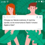 4 группы крови