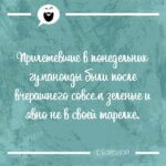не в своей тарелке