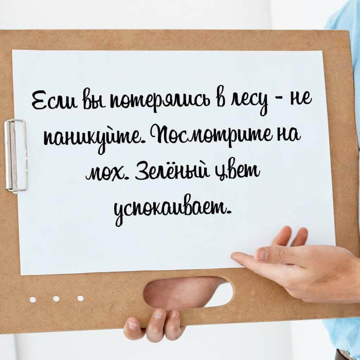 Если вы потерялись в лесу