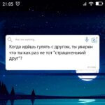 Когда идёшь гулять с другом