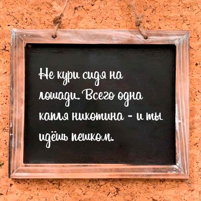 Не кури сидя на лошади