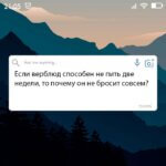 верблюд способен не пить