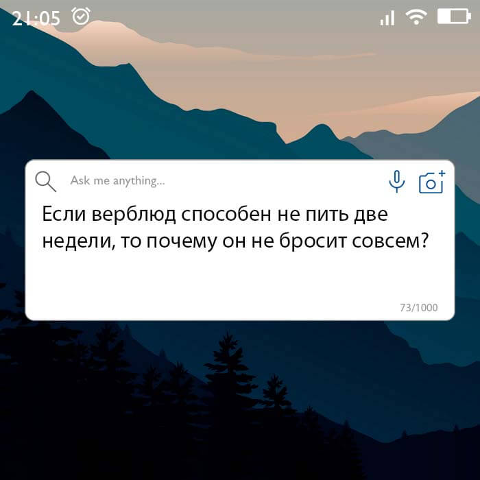верблюд способен не пить
