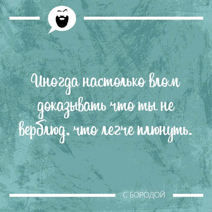 Мысль дня на Aneksboro — доказывать что ты не верблюд