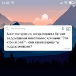 Вопрос дня на Aneksboro — смешной вопрос про домашних животных