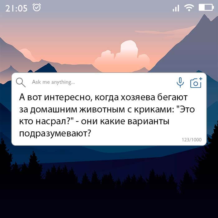 Вопрос дня на Aneksboro — смешной вопрос про домашних животных
