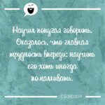 Научил попугая говорить