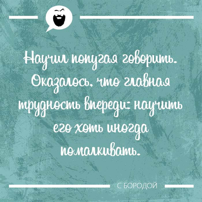 Научил попугая говорить