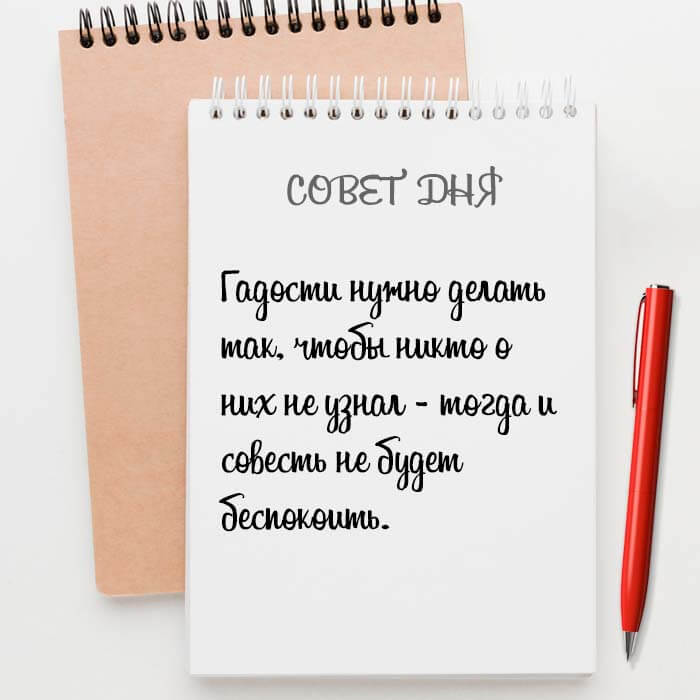 Совет дня на Aneksboro — смешной совет про совесть