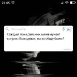 Вопрос дня на Aneksboro — смешной вопрос про выходные